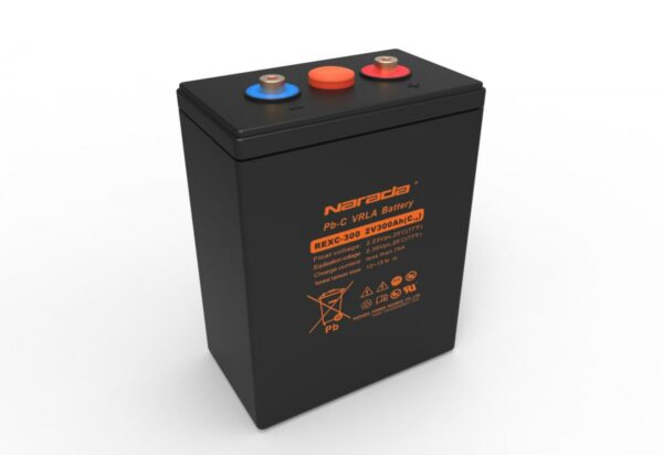 REX Series Batteries